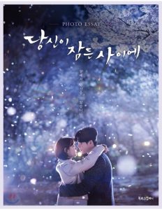 download while you were sleeping korean drama
