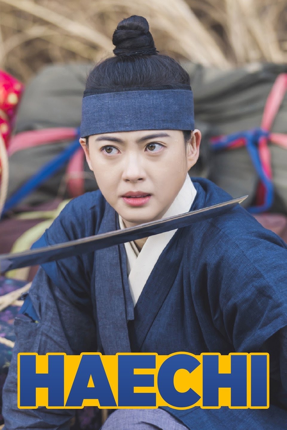 Read more about the article Haechi (Complete) | Korean Drama
