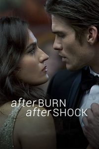 Read more about the article Afterburn Aftershock (2017) | Download Hollywood Movie