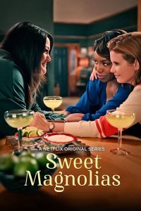 download sweet magnolias hollywood series