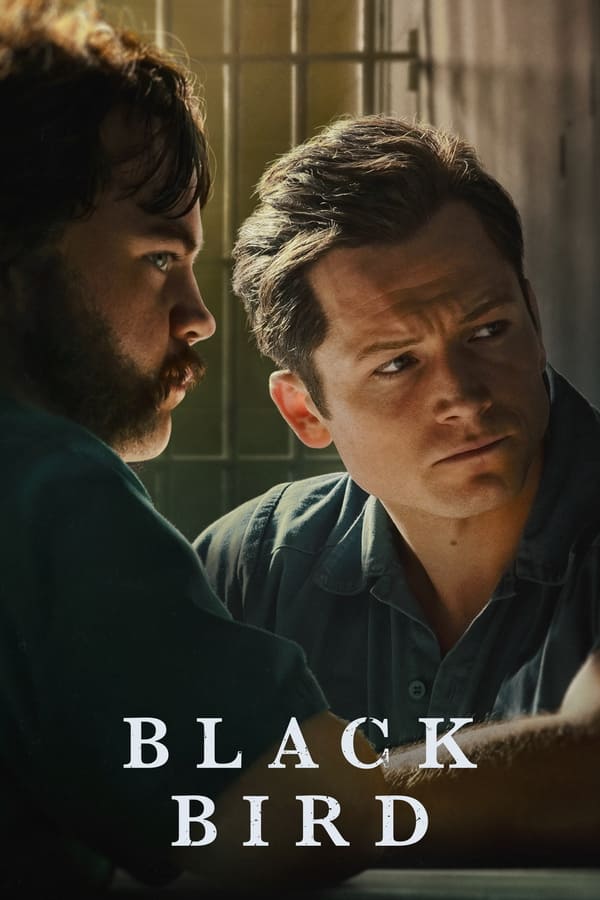 Read more about the article Black Bird S01 (Complete)  | TV Series