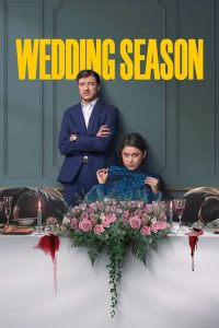 Read more about the article Wedding Season S01 (Complete) | TV Series