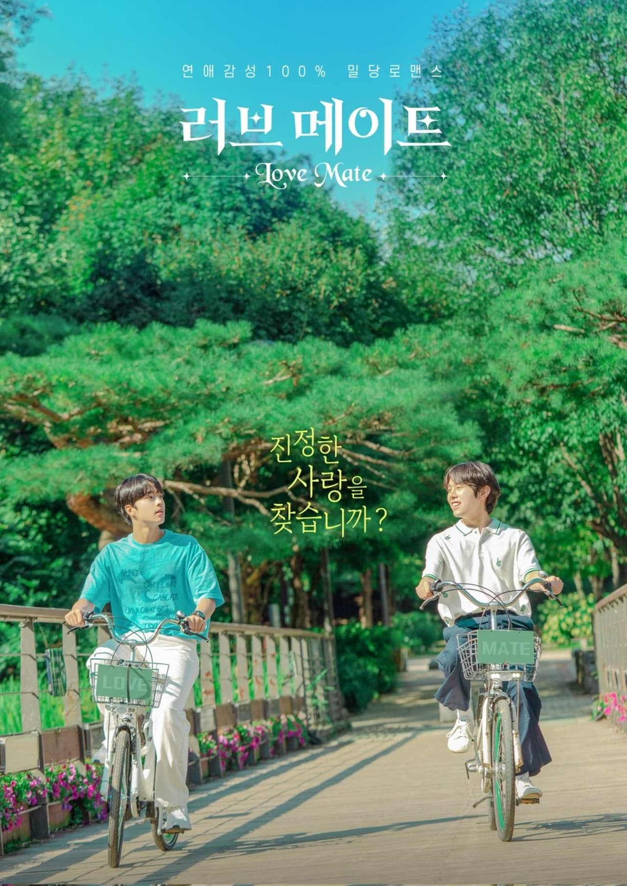 Read more about the article Love Mate S01 (Complete) | Korean Drama