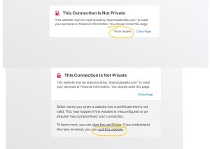 Read more about the article Downloadwella Issue See How to Fix