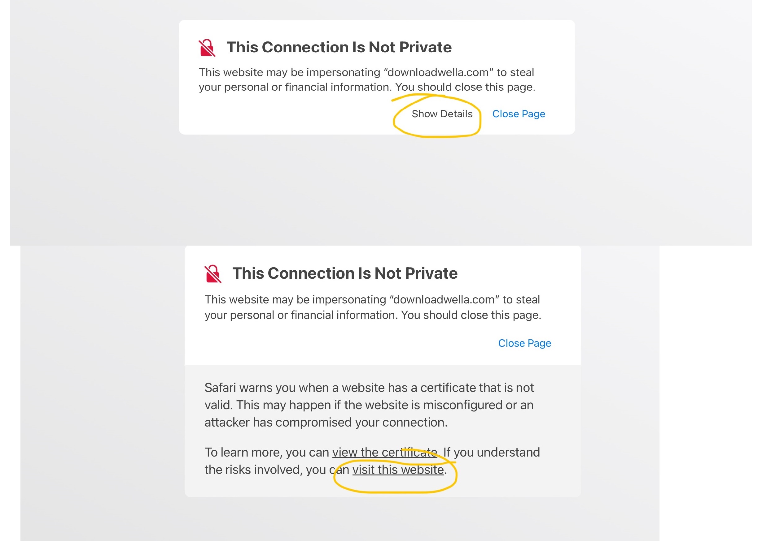 Read more about the article Downloadwella Issue See How to Fix