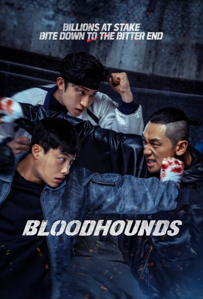 Read more about the article Bloodhounds S02 (Complete) | Korean Drama