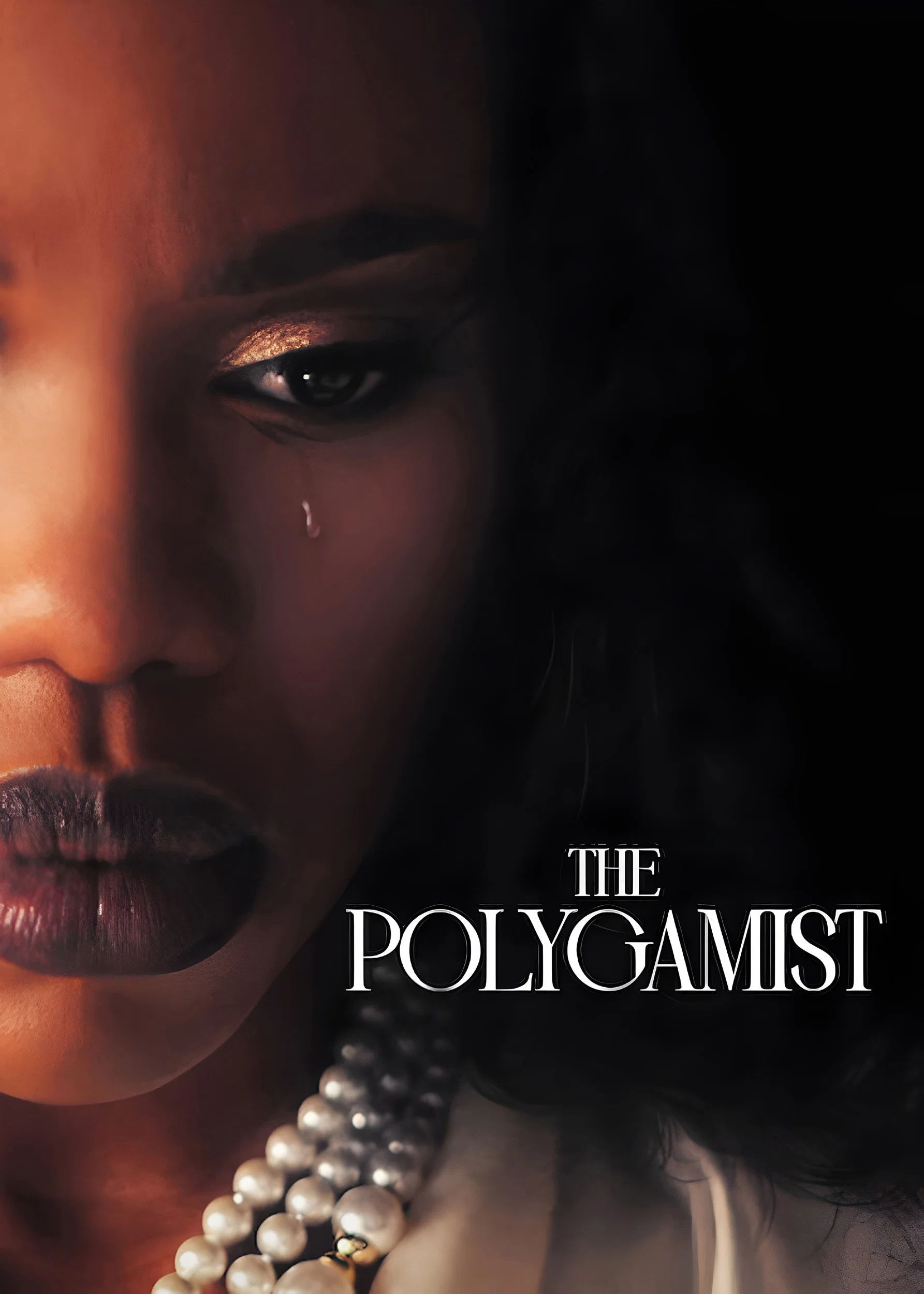 Read more about the article The Polygamist S01 (Complete) | TV Series