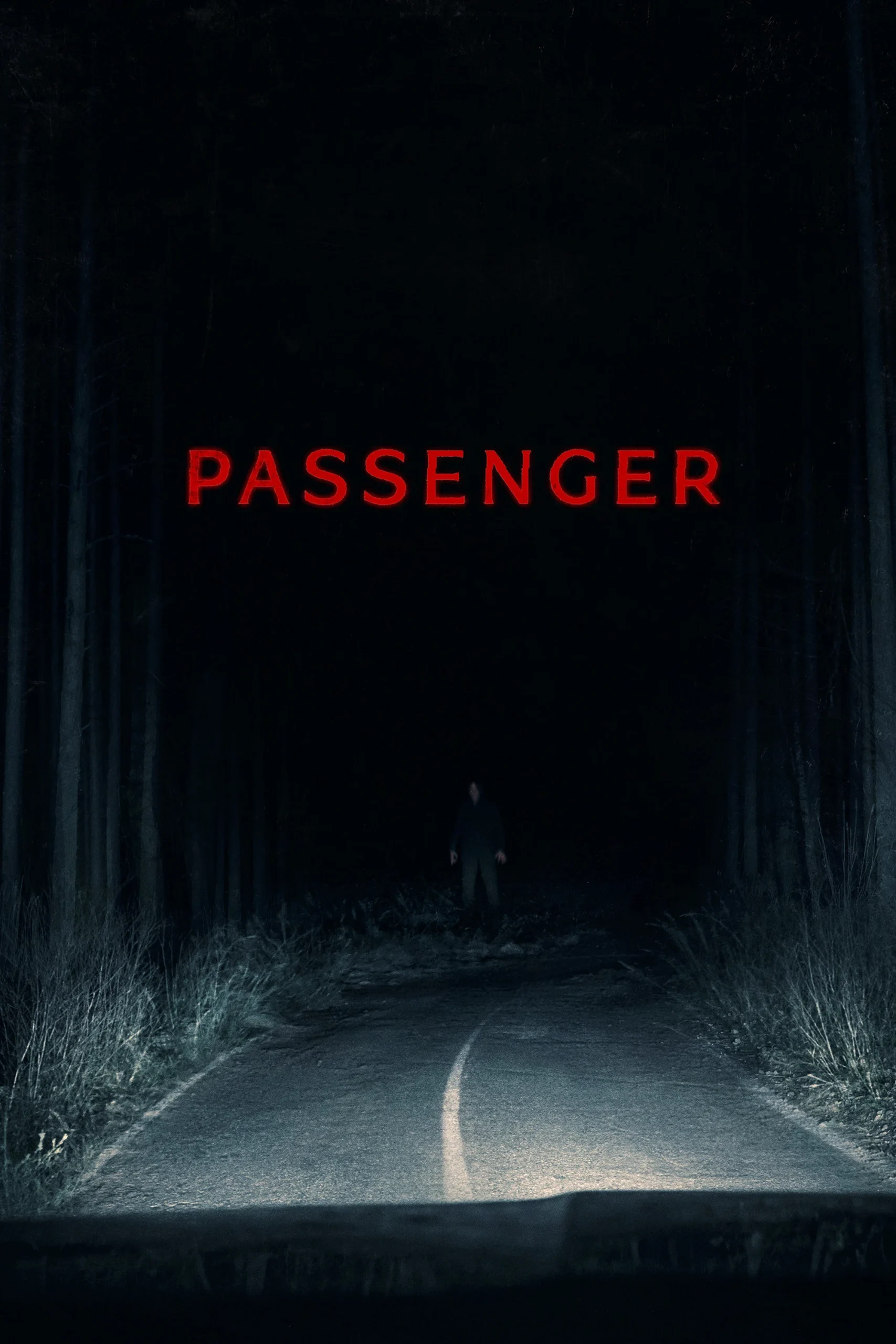 Read more about the article Passenger (2026) | Download Hollywood Movie